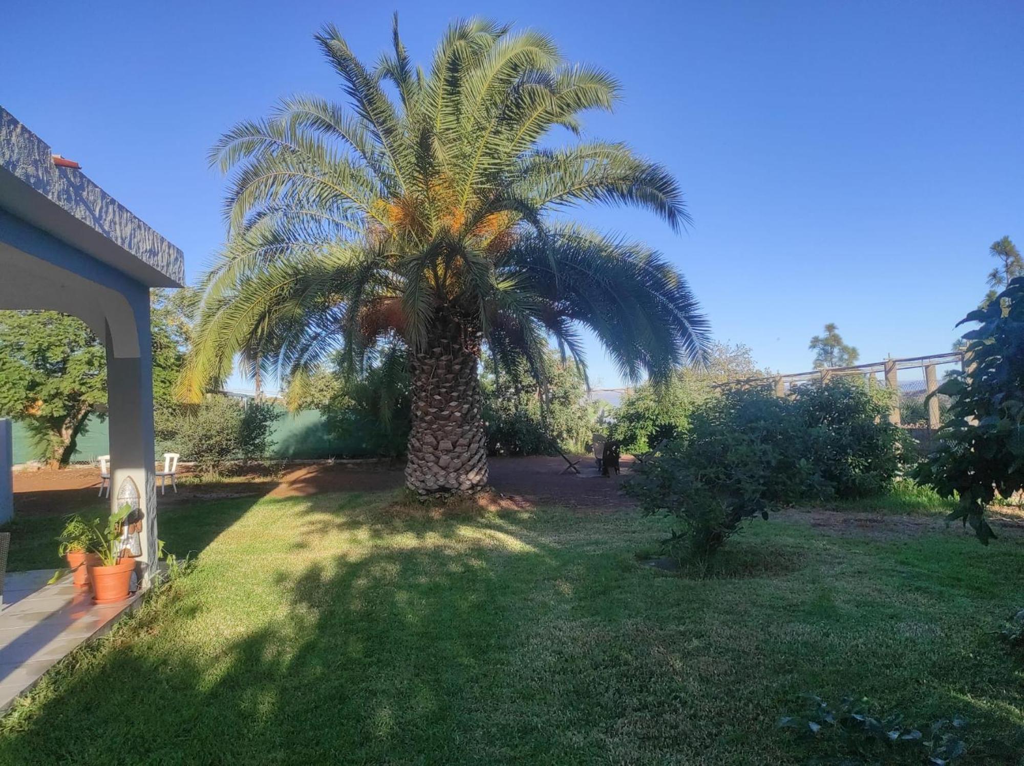 Cottage Gran Canaria Completely Renovated With Jacuzzi Valsequillo de Gran Canaria Exterior photo